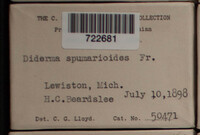 Image Associated With the Occurence